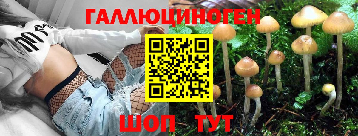 Славгород  Псилоцибиновые грибы Magic Shrooms  где продают наркотики  Псилоцибиновые грибы мухоморы  Вход с VPN 