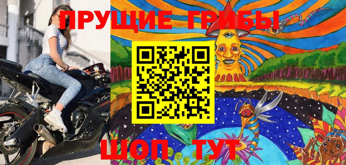 Псилоцибиновые грибы Cubensis Славгород